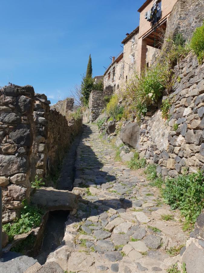 Apartamento Ca la Rita Castellfollit de la Roca Exterior foto