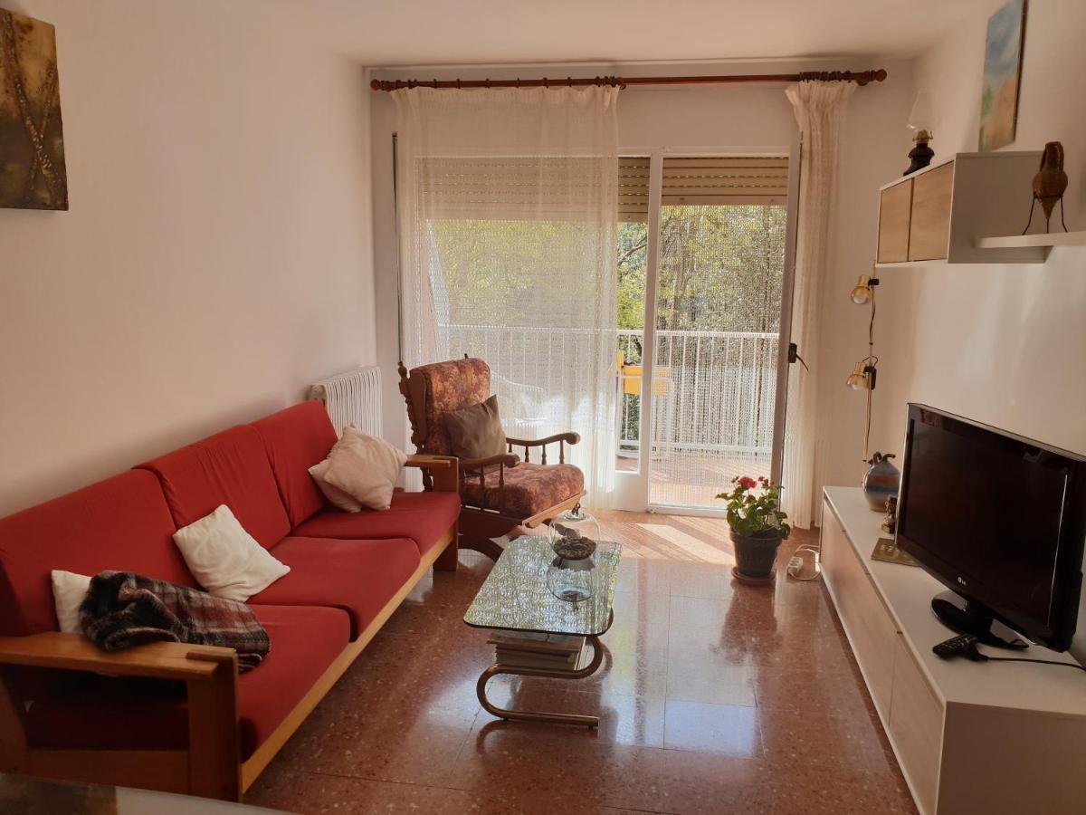Apartamento Ca la Rita Castellfollit de la Roca Exterior foto